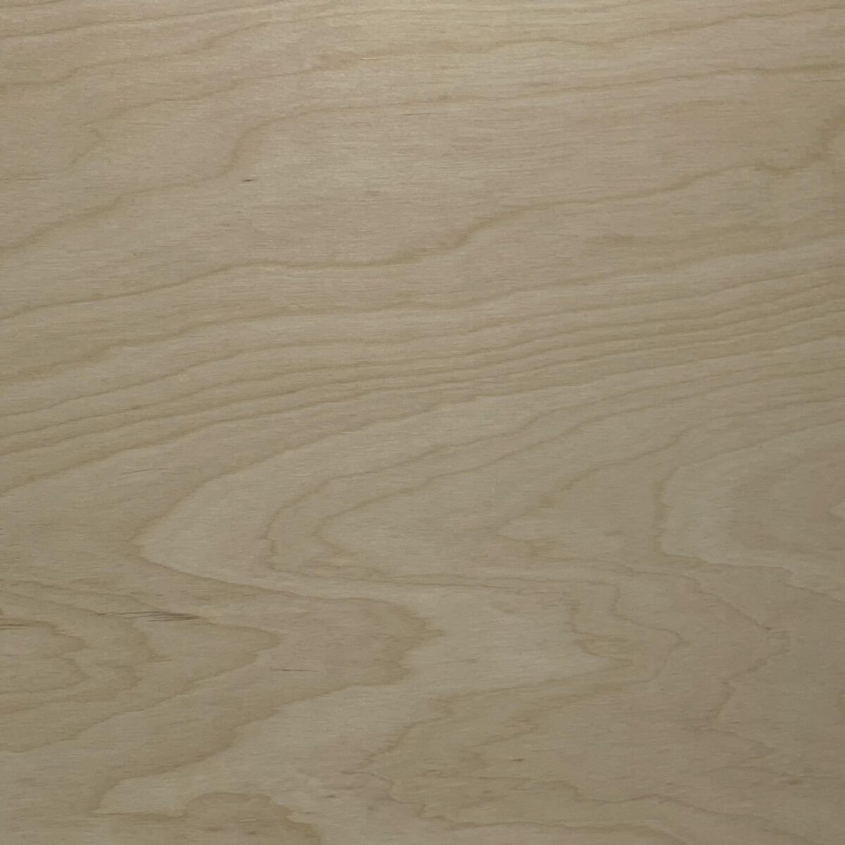 1/8" White Birch